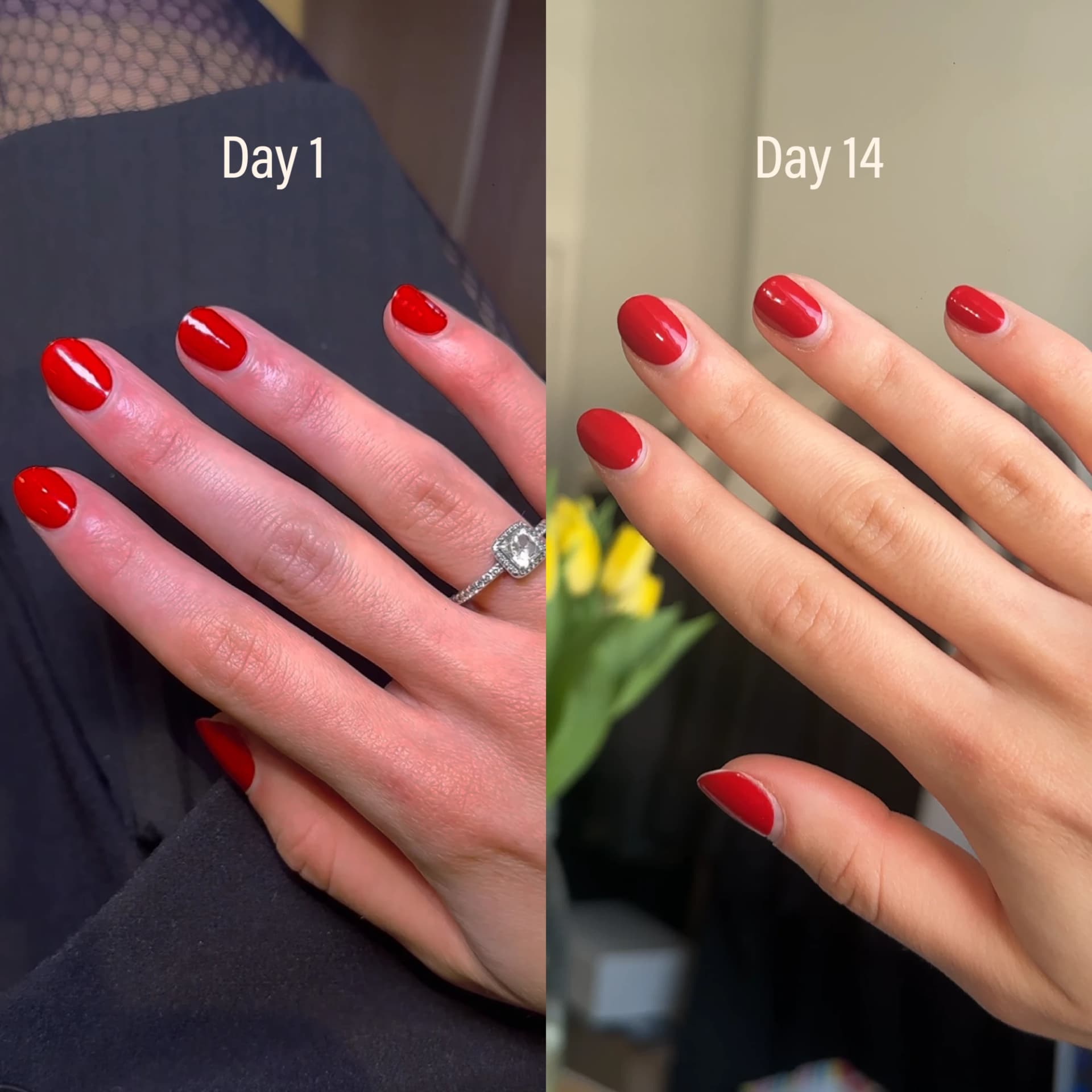 Day 1 vs. day 14 of wearing Glaize gels